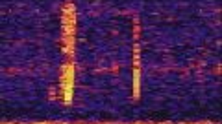 Remember that scary undersea "bloop" noise? At last we know what caused it.